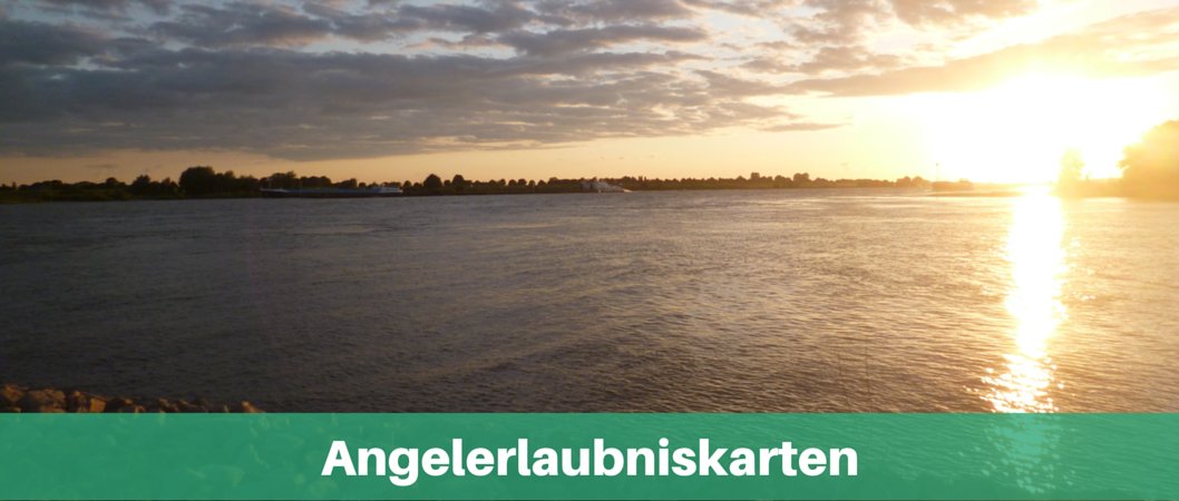 Angelerlaubniskarten für Rhein und Kanal