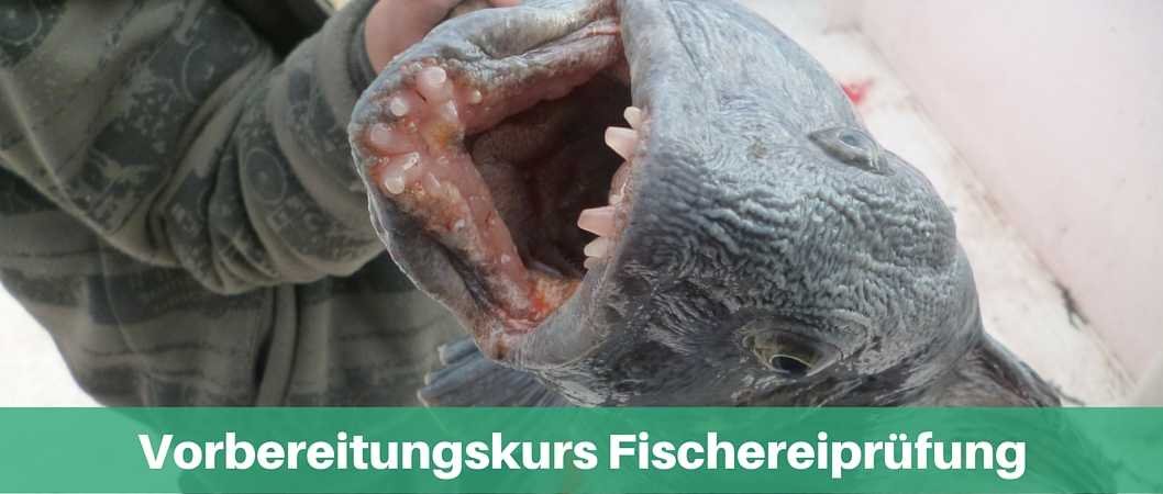 Vorbereiungskurs auf die Fischerei Prüfung